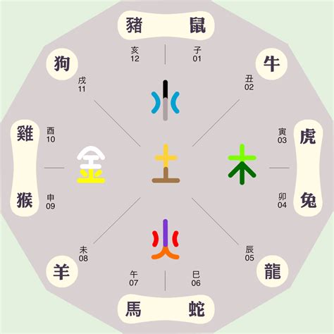 安五行屬性|安字的五行属什么